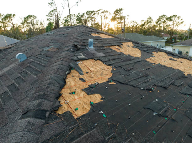 Best Roof Maintenance and Cleaning  in Breckenridge, TX